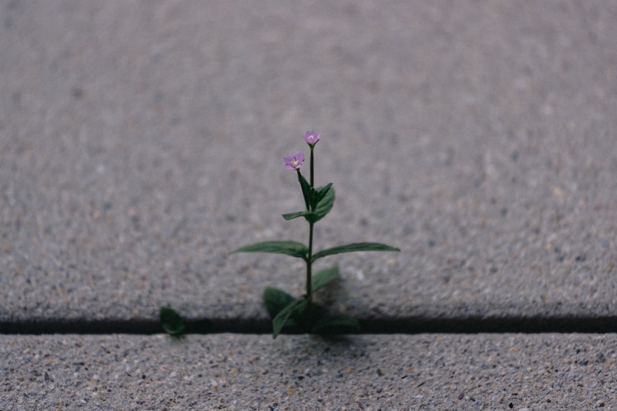 Photo resilience