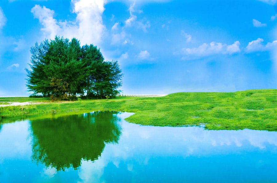Photo nature benefits